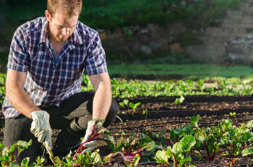 Garden clearance service in Hoxton