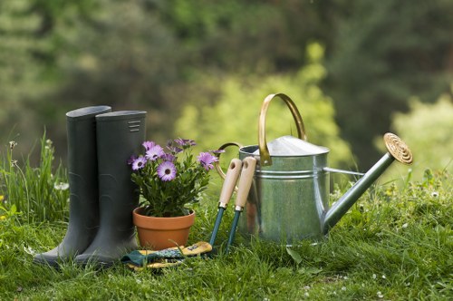 Selection of native plants suitable for Hoxton's climate.
