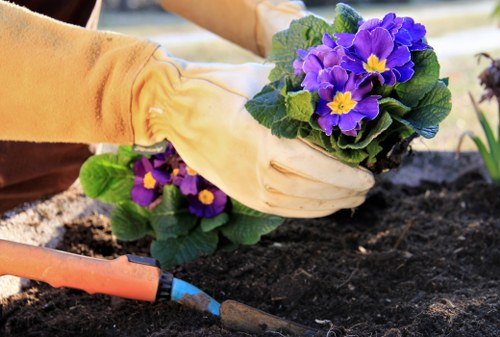 Composting and chipping equipment in use for sustainable garden waste