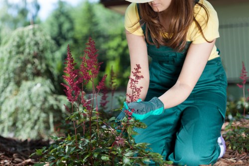 Sustainable gardening practices in a Hoxton garden