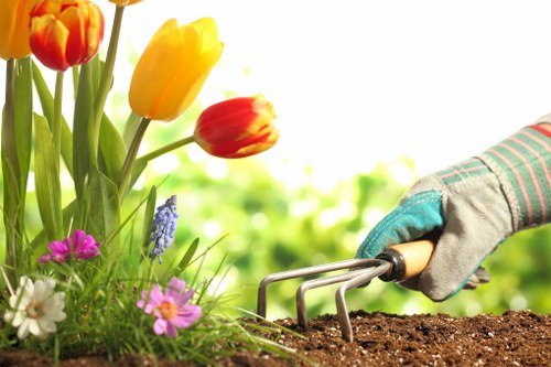Environmentally sustainable tree care practices