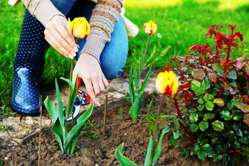Professionally landscaped garden in Hoxton