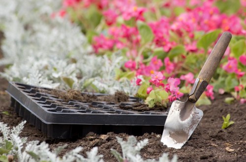 Eco-friendly lawn mowing practices in Hoxton